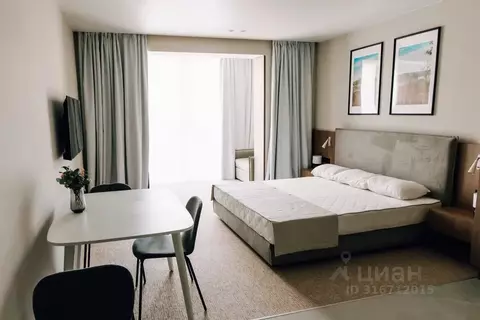 1-к кв. Калининградская область, Светлогорск Олимпийский бул., 3 (45.0 ...