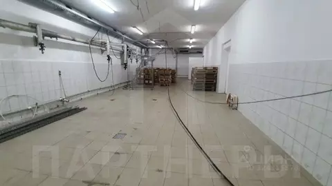 Помещение свободного назначения в Краснодарский край, Краснодар пос. ...