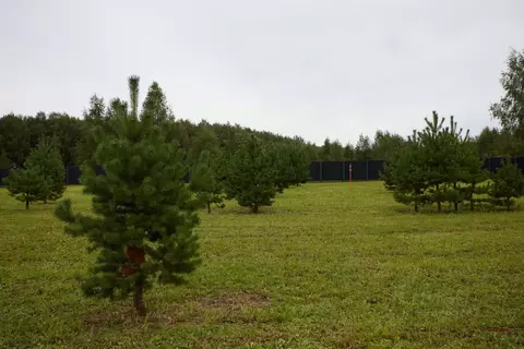 Участок в Тульская область, Заокский район, Малаховское с/пос, Нова ...