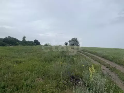 Участок в Белгородская область, Белгородский район, Комсомольское ...