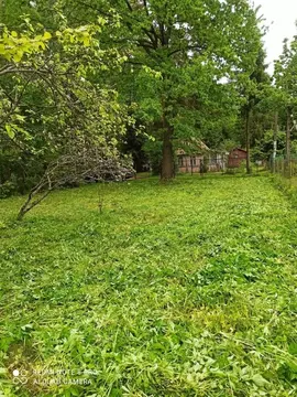 Участок в Ленинградская область, Кировский район, Мгинское городское ...