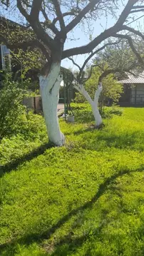 Дом в Ленинградская область, Тосненский район, Ульяновское городское ...