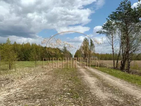 Участок в Тверская область, Калининский муниципальный округ, д. ...