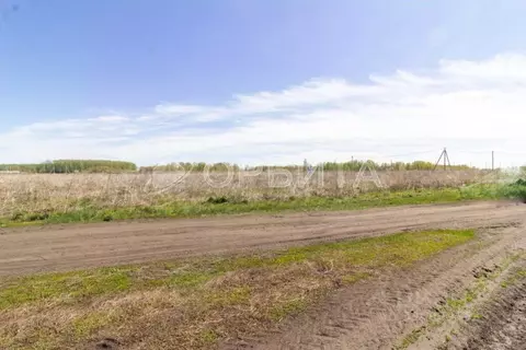 Участок в Тюменская область, Тюменский муниципальный округ, с. ...