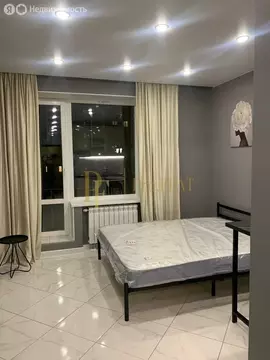 Квартира-студия: Санкт-Петербург, улица Фёдора Котанова, 3к2 (23 м)