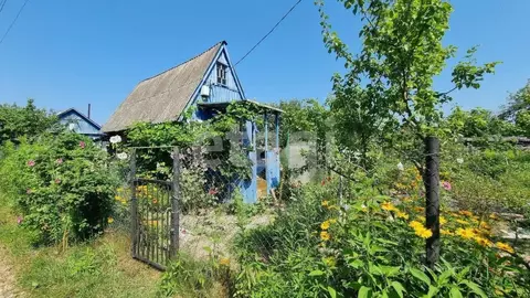Дом в Брянская область, Брянский район, Чернетовское с/пос, Монтажник ...