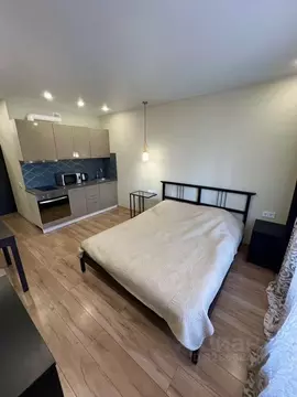 Студия Санкт-Петербург Комендантский просп., 57к1 (24.0 м)