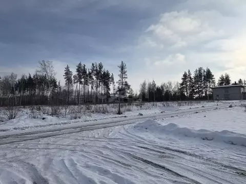 Участок в Воронежская область, Рамонский район, с. Ямное ул. Аграрная, ...