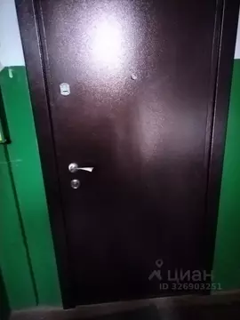 1-к кв. Нижегородская область, Дзержинск Пушкинская ул., 18 (30.0 м)