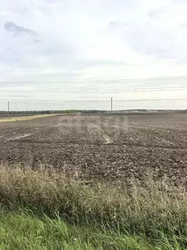 Участок в Тюменская область, Тюменский муниципальный округ, Винзили рп ...