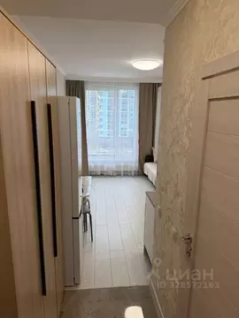 Студия Москва Производственная ул., 17 (21.1 м)