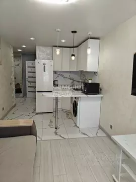 Студия Липецкая область, Липецк ул. И.В. Свиридова, 14 (27.0 м)