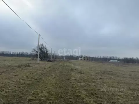 Участок в Ростовская область, Аксайский район, Старочеркасское с/пос, ...