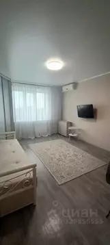 1-к кв. Самарская область, Тольятти Юбилейная ул., 85 (37.0 м)