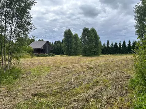 Участок в Пермский край, Пермский район, д. Пашня ул. Лесная, 4 (110.0 ...