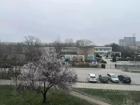 Студия Крым, Евпатория ул. 9 Мая, 82 (36.8 м)