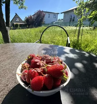 Участок в Калининградская область, Пионерский  (6.0 сот.)