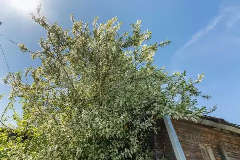 Участок в Тюменская область, Тюмень СОСН Мичуринец тер., 160 (4.0 ...