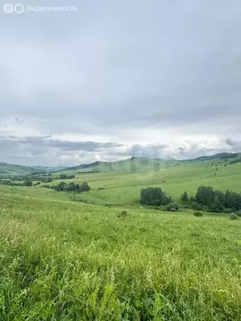 Участок в Алтайский район, ДНТ Жемчужина Алтая (8.75 м)