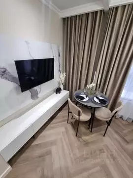 Студия Санкт-Петербург Невский просп., 108Р (17.0 м)