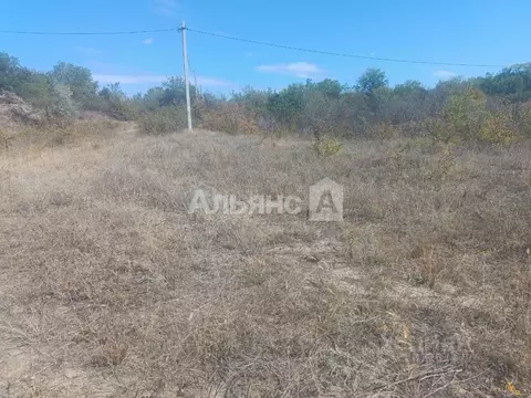 Участок в Ростовская область, Каменский район, Старостаничное с/пос, ...