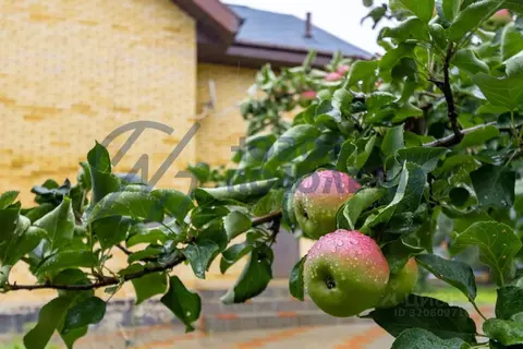 Коттедж в Омская область, Омск ул. Толмачева (225 м)