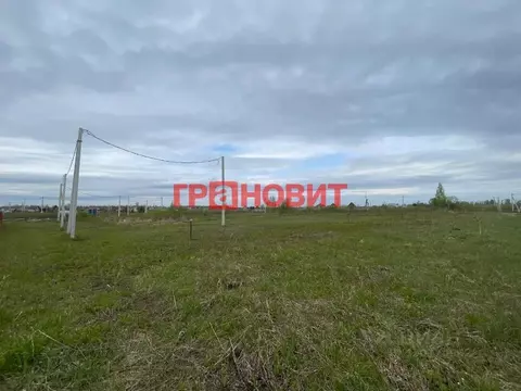 Участок в Новосибирская область, Новосибирский район, Кубовинский ...