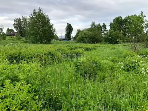 Участок в Вологодская область, д. Перхурьево (Новленский сельсовет)  ...