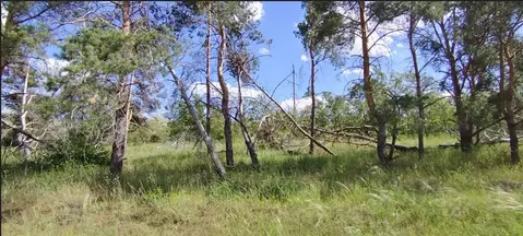 Участок в Волгоградская область, Волгоград пер. Артезианский, 2А (6.7 ...