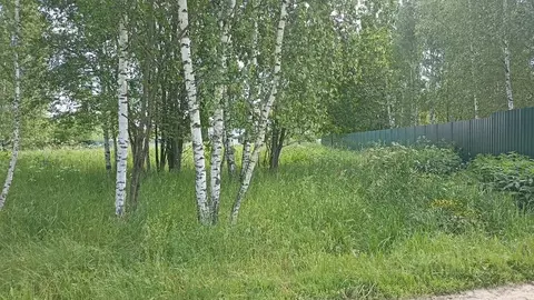 Участок в Московская область, Домодедово городской округ, с. ...