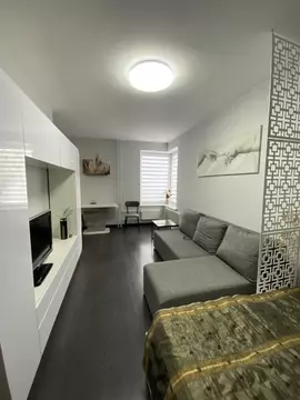 1-к кв. Санкт-Петербург пос. Парголово, ул. Федора Абрамова, 4 (33.0 ...