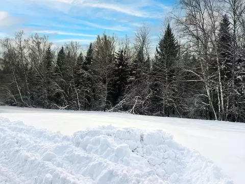 Участок в Московская область, Подольск городской округ, Пузиково кп 46 ...