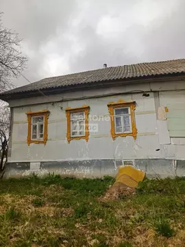 Дом в Нижегородская область, Семенов ул. Гоголя (49 м)