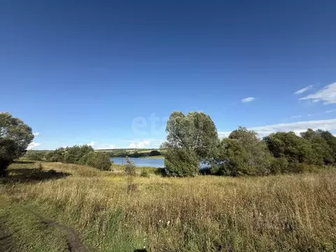 Участок в Мордовия, Рузаевский район, с. Ключарево Центральная ул., ...