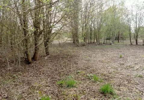 Продается участок в д. Дятлово