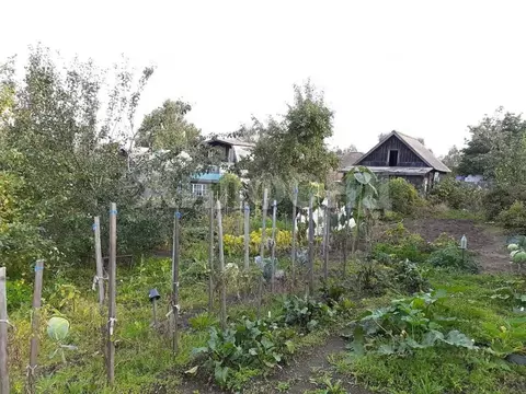 Дом в Хакасия, Абакан Самохвал дачный район,  (15 м)