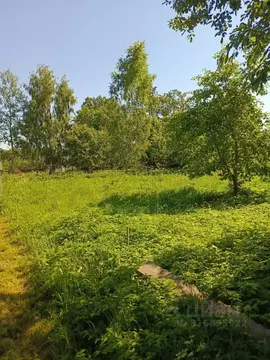 Участок в Калужская область, Перемышльский район, Большие Козлы с/пос, ...