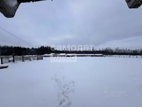 Участок в Ленинградская область, Выборгский район, Рощинское городское ...