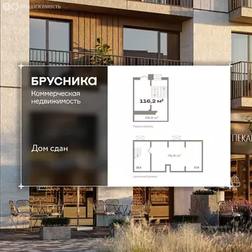 Помещение свободного назначения (106.3 м)