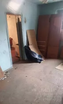 Дом в Забайкальский край, Чита Ремесленная ул., 2 (41 м)