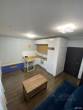 Студия Санкт-Петербург ул. Плесецкая, 20к1 (24.5 м)