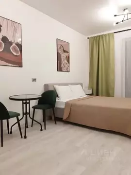 Студия Санкт-Петербург 1-й Предпортовый проезд, 1 (24.0 м)