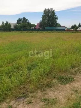 Участок в Новосибирская область, Колыванский район, Большая Семья СНТ  ...