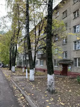 1-комнатная квартира: Фрязино, Полевая улица, 1 (30.3 м)