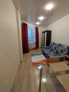 Студия Санкт-Петербург ул. Орджоникидзе, 52 (25.0 м)