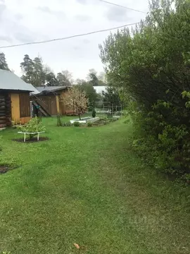 Комната Московская область, Раменский муниципальный округ, Ильинский ...