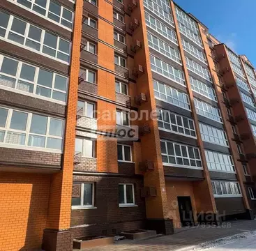 1-к кв. Амурская область, Благовещенск Высокая ул., 130 (39.6 м)