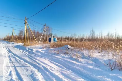 Участок в Тюменская область, Тюмень Большое Царево-1 СНТ,  (10.0 сот.)