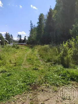 Участок в Ленинградская область, Выборгский район, Красносельское ...