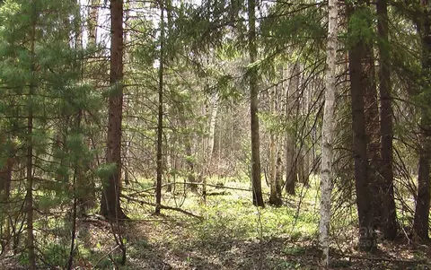 Участок в Московская область, Одинцовский городской округ, пос. ...
